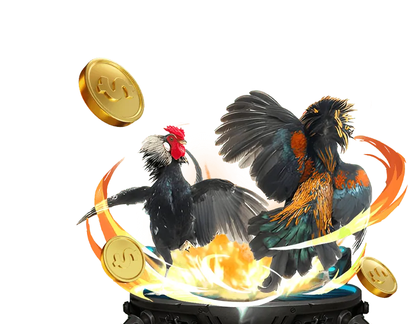 Giao dịch nhanh chóng và an toàn với Đá Gà 88