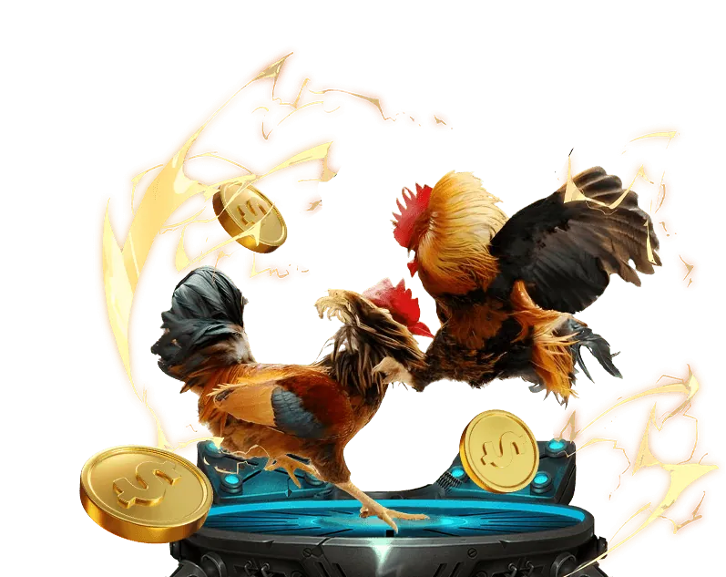 Đội ngũ hỗ trợ khách hàng da ga 88